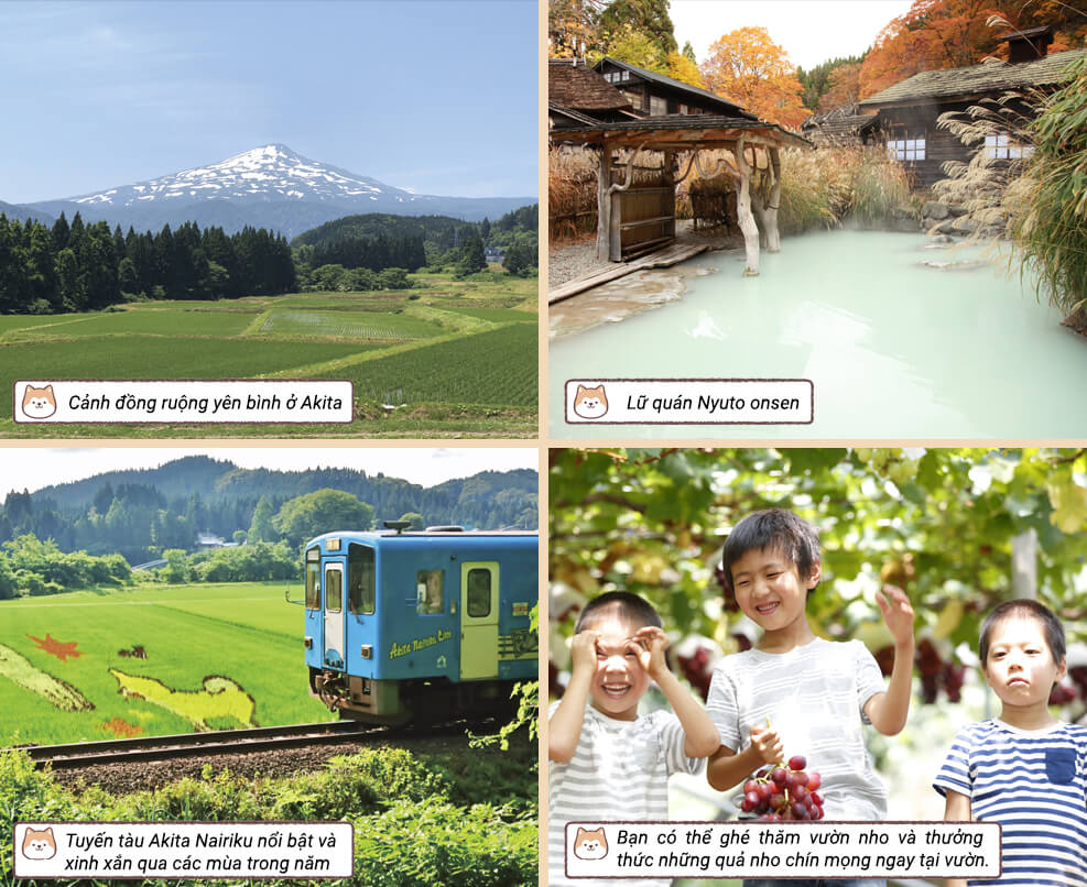 Cảnh sắc nên thơ như bước ra từ những khung tranh